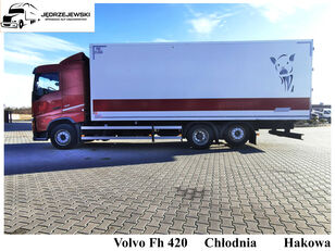 VOLVO Volvo Fh 420/ Chłodnia/Hakowa camión frigorífico