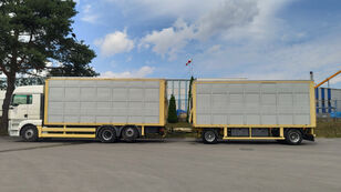 MAN TGA 26.430 3 levels, GUITTON  camión para transporte de ganado + remolque para transporte de ganado