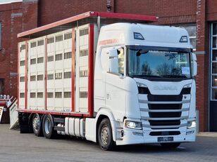 Scania S500 NGS 6x2 - Livestock Menke 4 deck 49M2 - Water & Ventilation camión para transporte de ganado