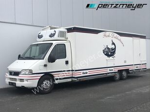 IVECO (I) Ducato  Verkaufswagen 6,5 m - Motor neu vor 21 TKM + Kühlthe camión tienda
