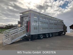 Menke-Janzen 3 Stock Hubdach Lenkachse semirremolque para transporte de ganado nuevo