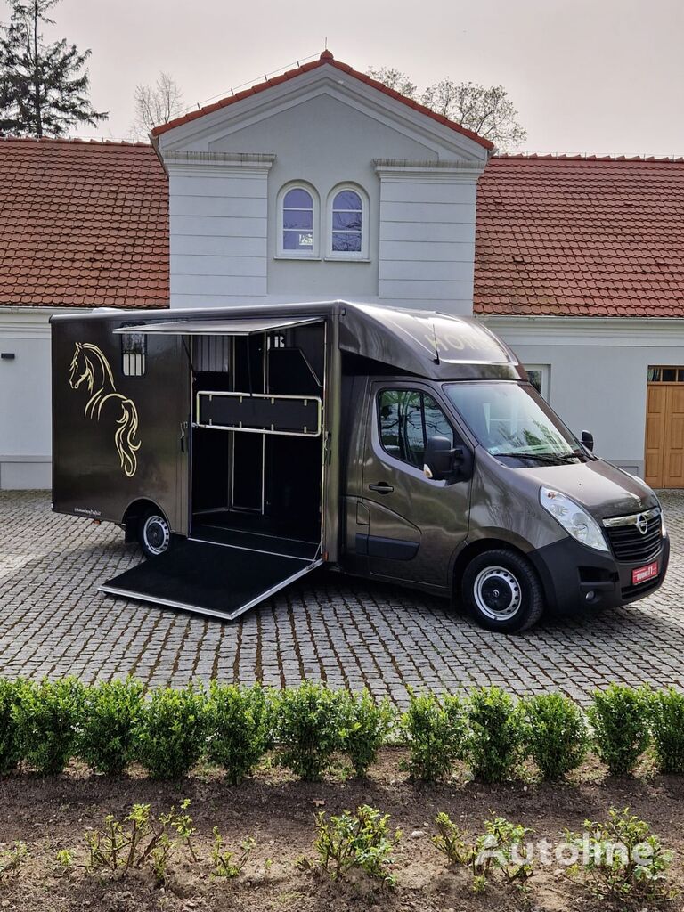 Renault Master transportador de caballos